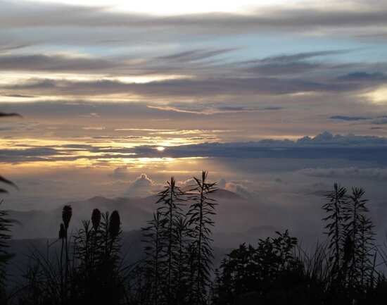 Kumaon Escape