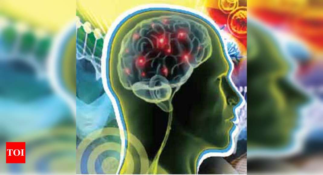 How Brain Wires Up For Better Social Behaviour Decoded - Times Of India