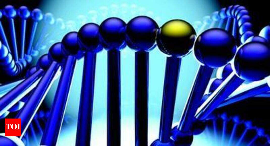 World map finds Genghis Khan’s impact across Asia Times of India