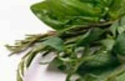 Use fresh basil in your cooking Times of India