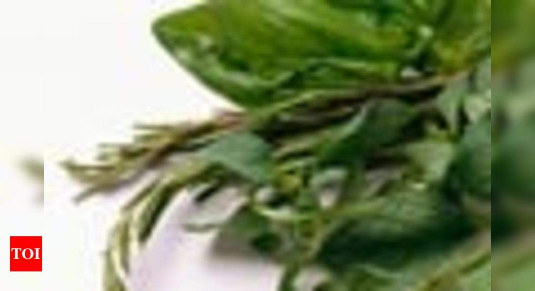 Use fresh basil in your cooking Times of India