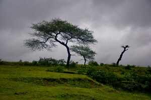 Saputara Hill Station