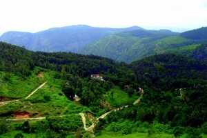 A nature retreat from Bangalore: Yercaud