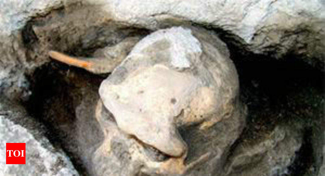 Skulls of 282 killed in 1857 war found in well | India News - Times of ...