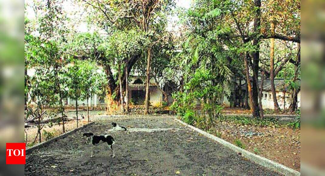 Don T Call It Jinnah House Says Daughter Mumbai News Times Of India