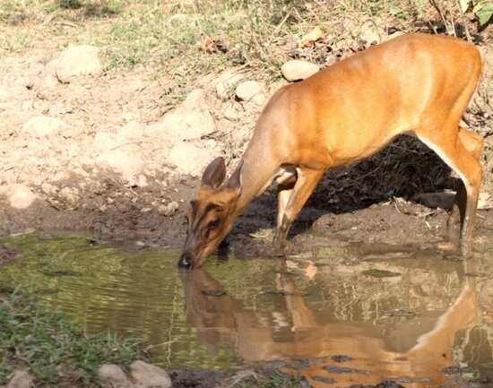 Garampani Wildlife Sanctuary