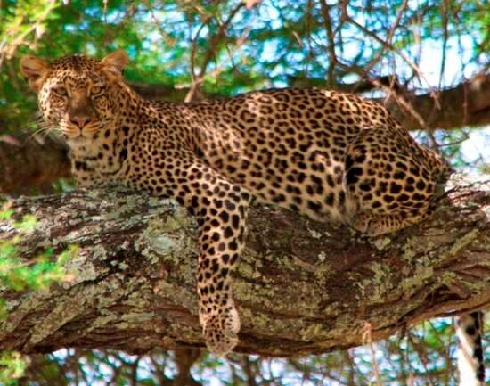 Pakhal Wildlife Sanctuary