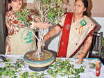 Avadh Bonsai Association's workshop