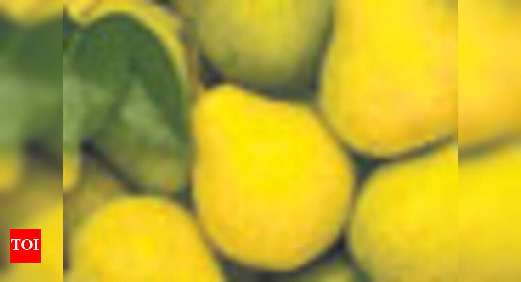 Ripe is right - Times of India