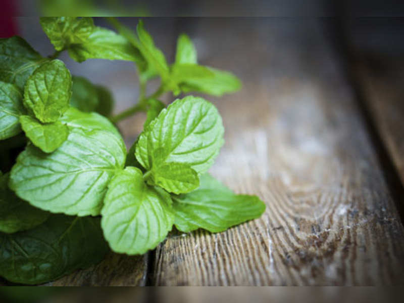 Try the magic of peppermint for health