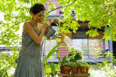 Easy gardening tips