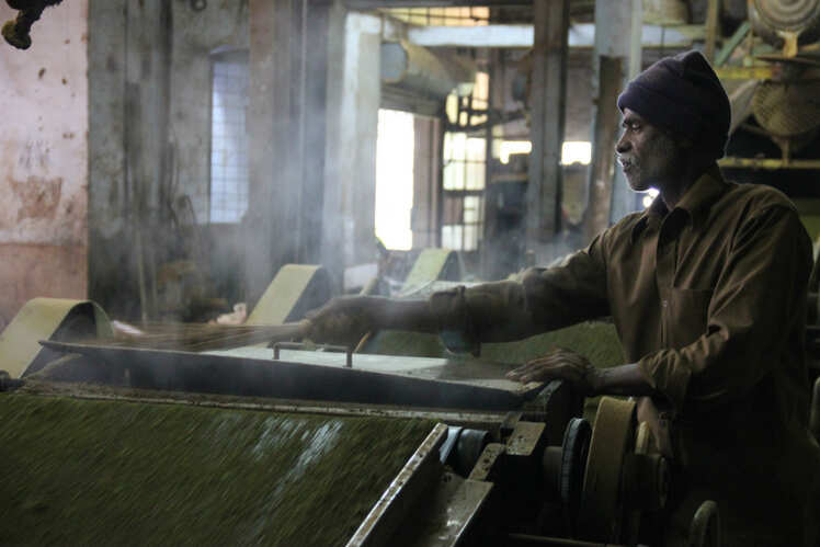 Tea factory
