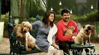 Akshay Kumar Entertainment Movie Dog, Golden Retriever, Dr Ankit  Chhibber