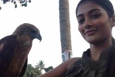 Pooja Hedge clicks a selfie with an 'eagle'