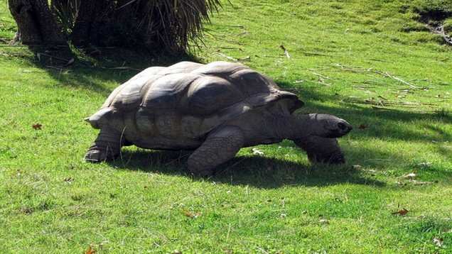 Chamarel, Mauritius - Times of India Travel