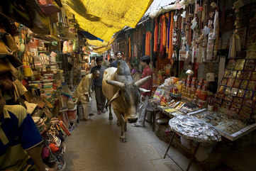 The streets of Varanasi