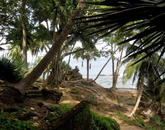 Choosing a hotel in the Andamans