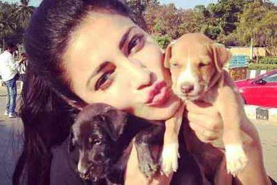Shruti Haasan's puppy love