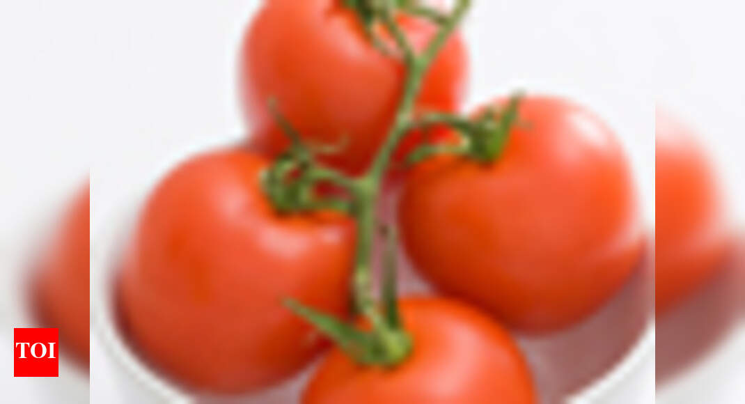 Tomatoes may harbour cancer cure Times of India