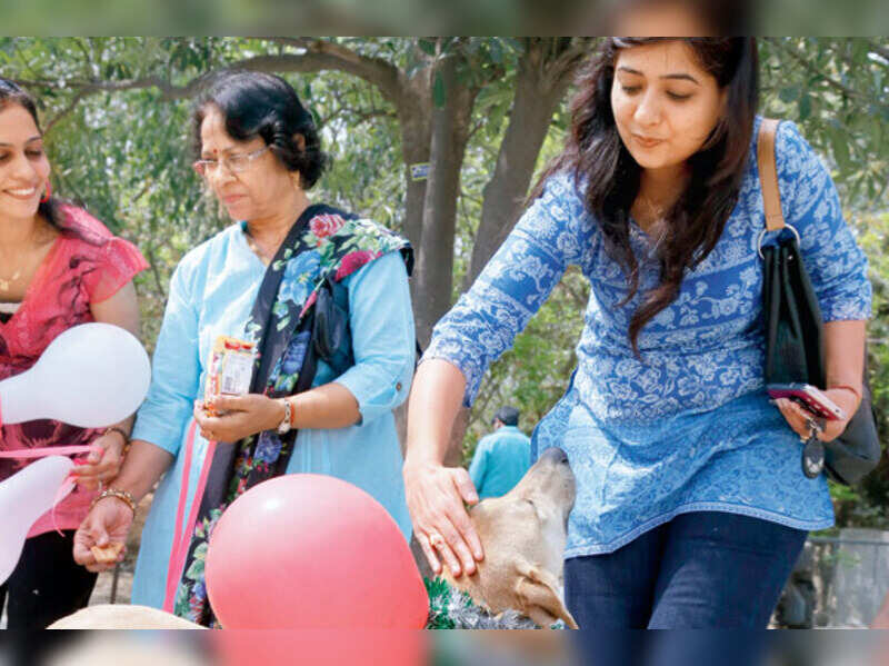 Gurgaon dog lovers spread awareness about stray dogs Events Movie