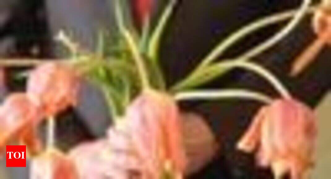 Learn about 27+ imagen are seat warmers bad for sperm In.thptnganamst.edu.vn