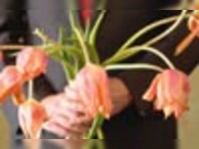 Heated car seats fry men's fertility! Times of India