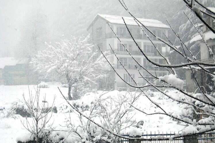 Manali, Himachal Pradesh