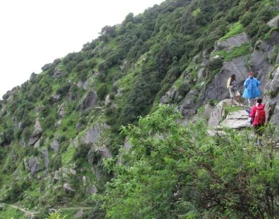 Triund: A walk above the clouds