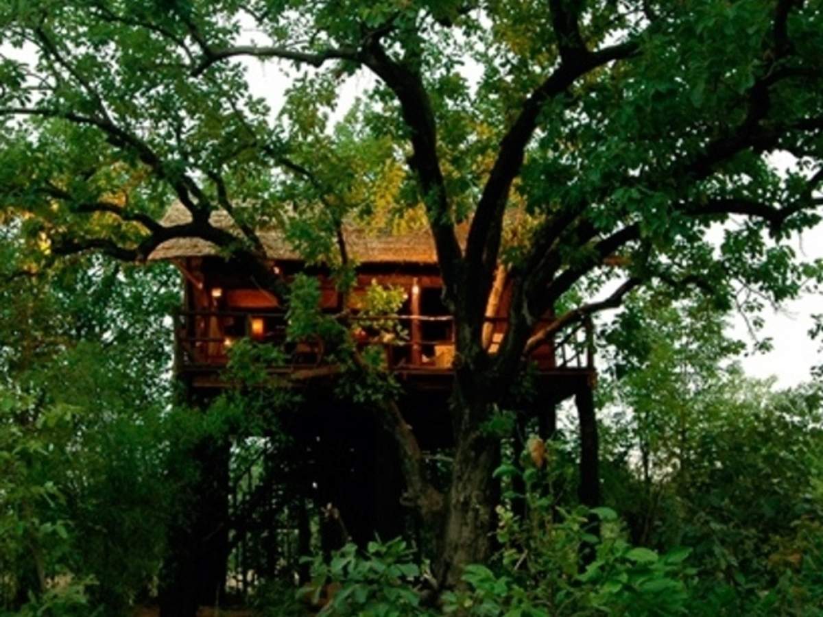 Tree House Hotel in Bandhavgarh