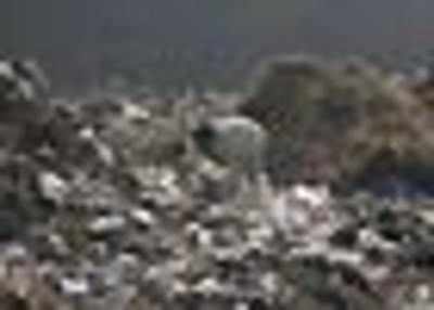Britain dumps its garbage on Indian soil