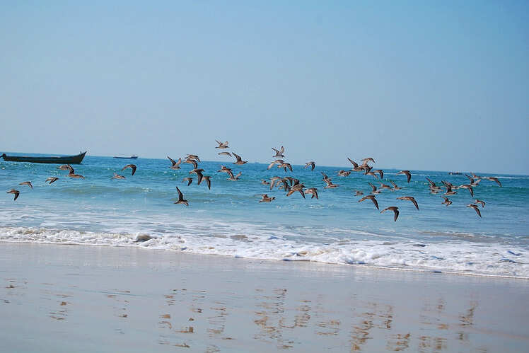 Varca Beach, Goa