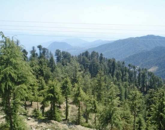 Mahasu Peak