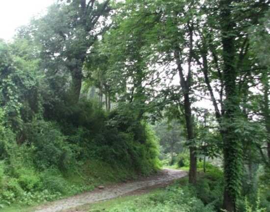 All&rsquo;s quiet on the Kasauli front
