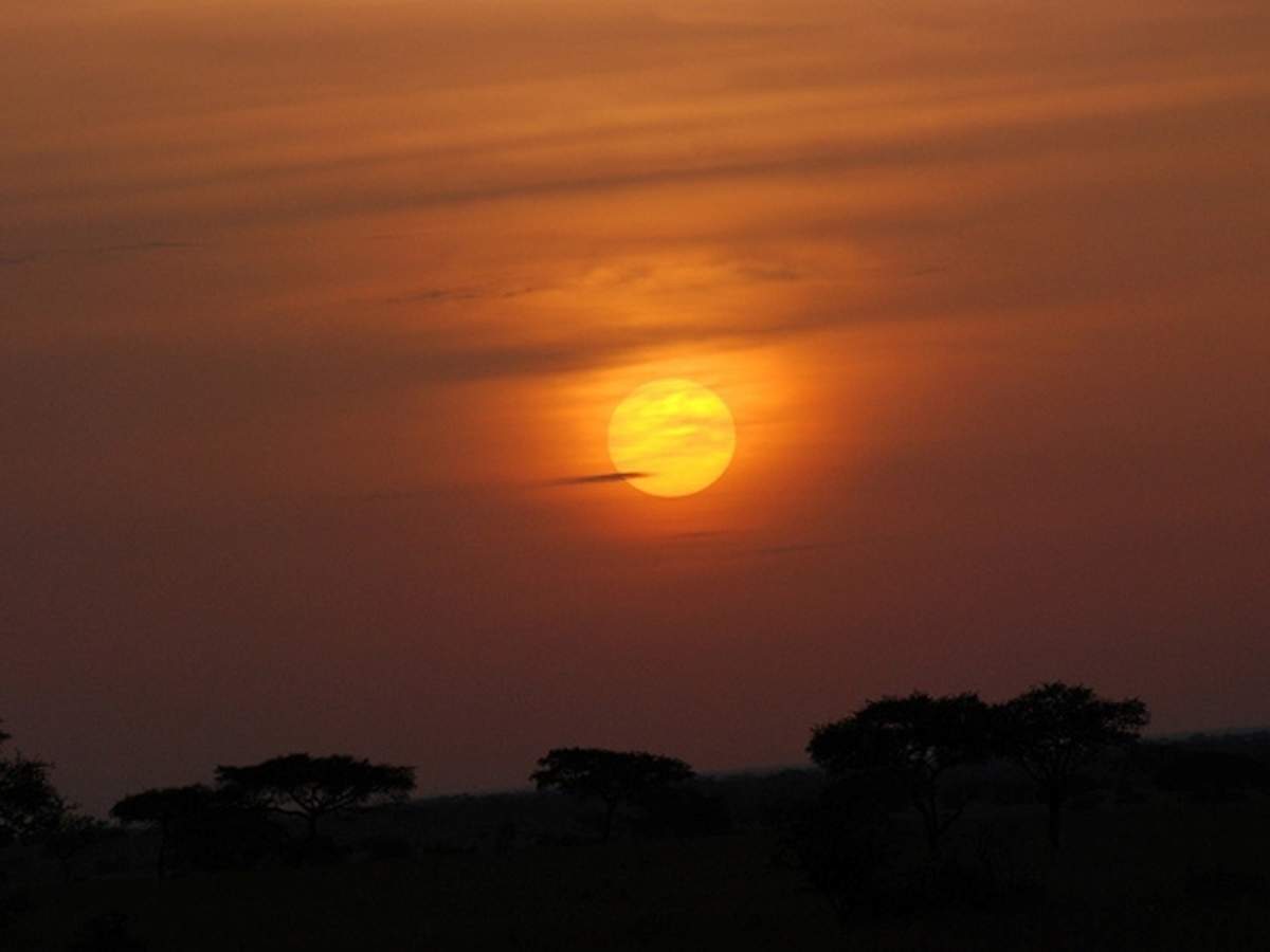 Singita Serengeti Safari - Tanzania: Get the Detail of Singita ...