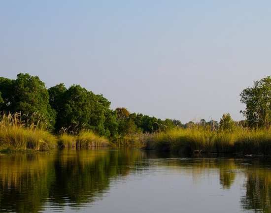 Biodiversity of the Okavango River Delta - Botswana: Get the Detail of ...