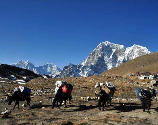 Climbing Mount Everest-Base Camp trek
