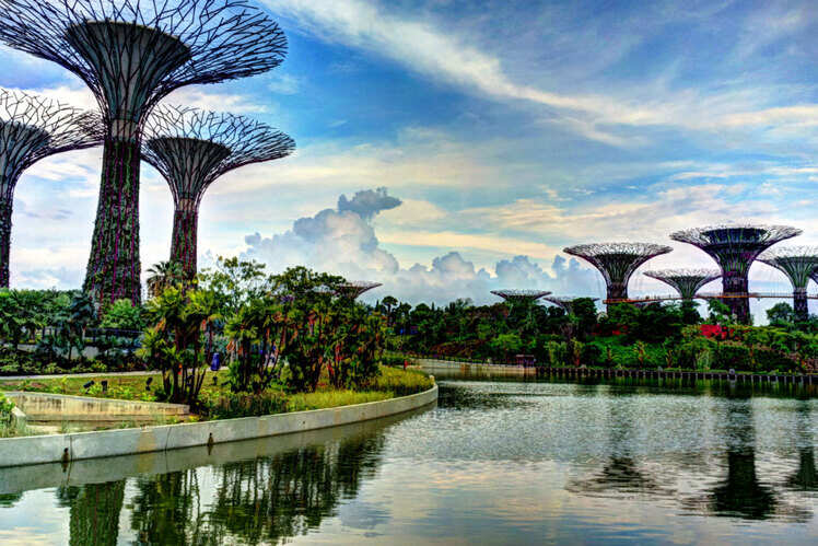 Garden by the Bay