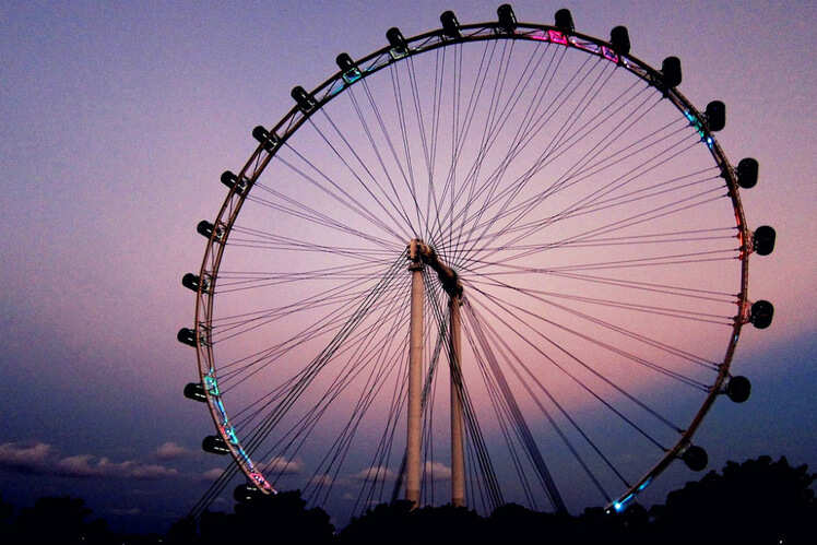 The Singapore Flyer