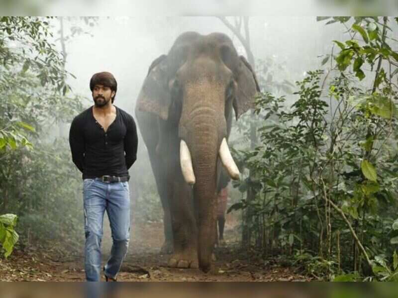 gajakesari-kannada-movie-news-times-of-india