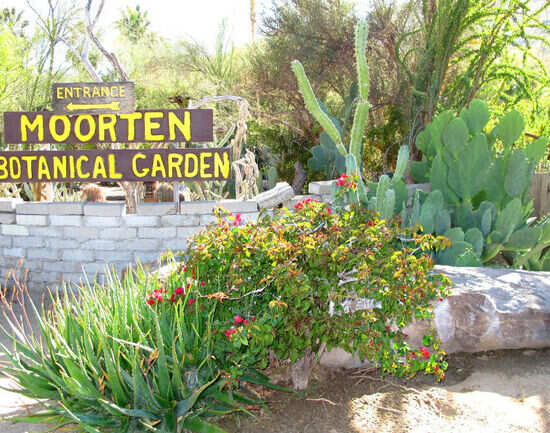 Moorten Botanical Garden