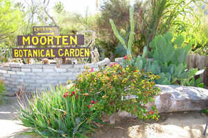 Moorten Botanical Garden