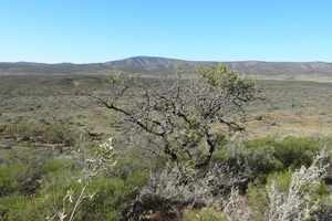 Sky over Arkaroola Wilderness Sanctuary