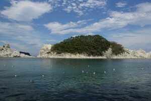 Rikuchu Coast