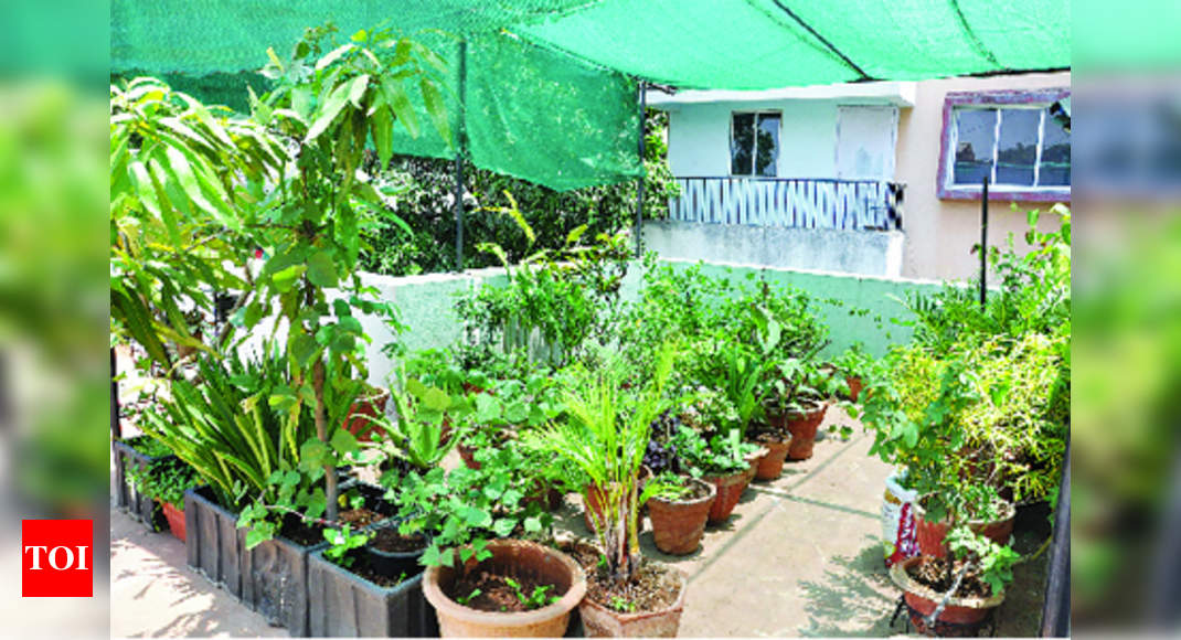 Terrace Gardens With Organic Farming A, Ideas For Terrace Garden India