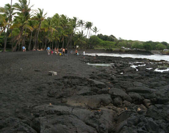 Punalu'u black sand beach