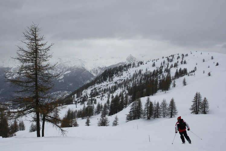 Up in the Alps