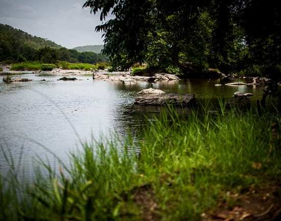 Into the wild at Bheemeshwari