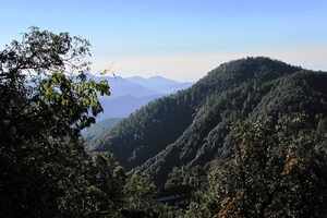 Tranquil Landour