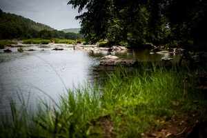 Into the wild at Bheemeshwari