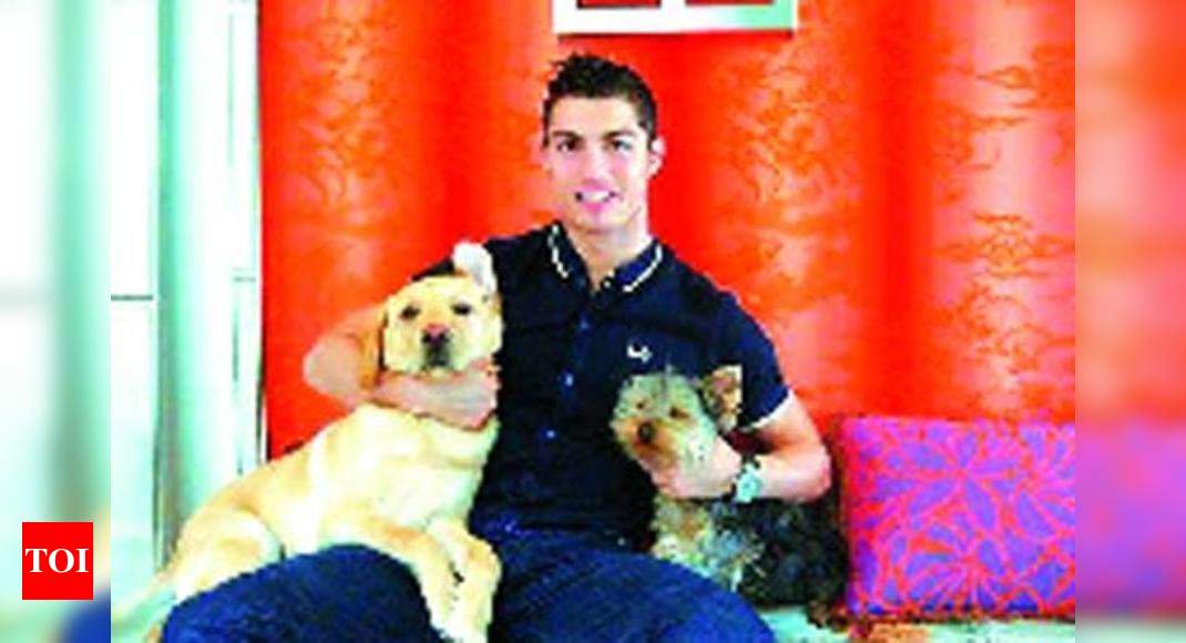 Images of famous footballers with their dogs.